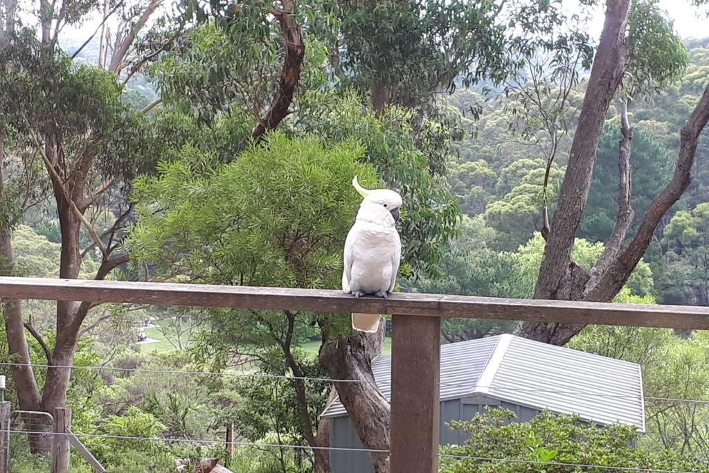 Falls Holiday home